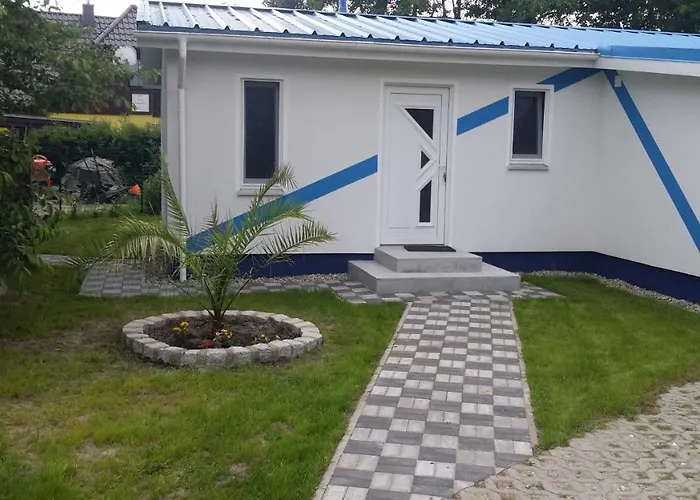 „strandhafer“ Цингст